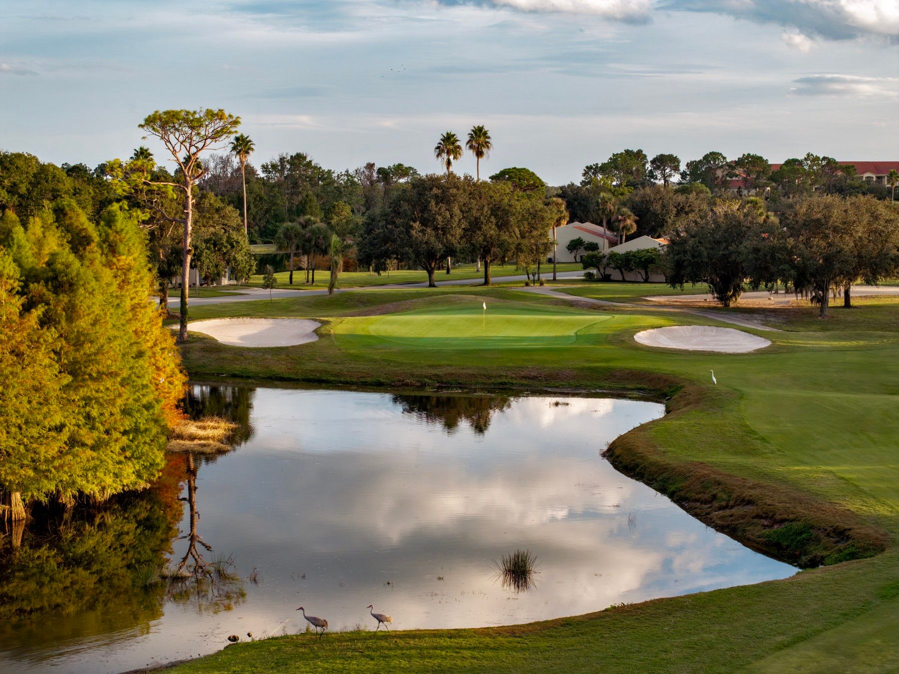Pond and green at The Reserve
