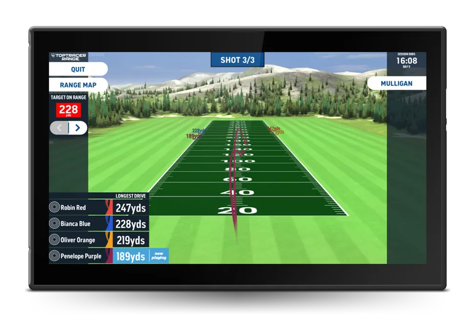 Long Drive game screen